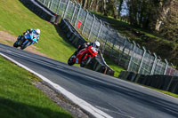 Advanced Group Red Bikes